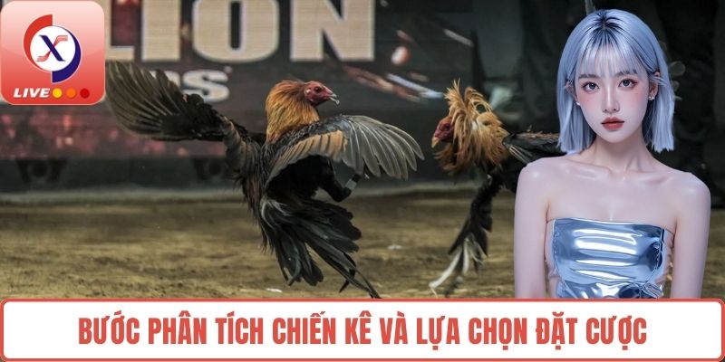 Bước phân tích chiến kê và lựa chọn đặt cược