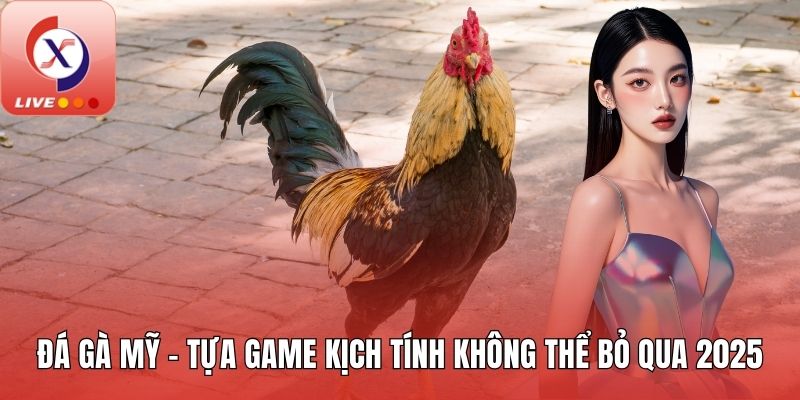 Đá gà Mỹ