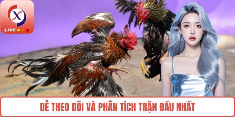 Dễ theo dõi và phân tích trận đấu nhất