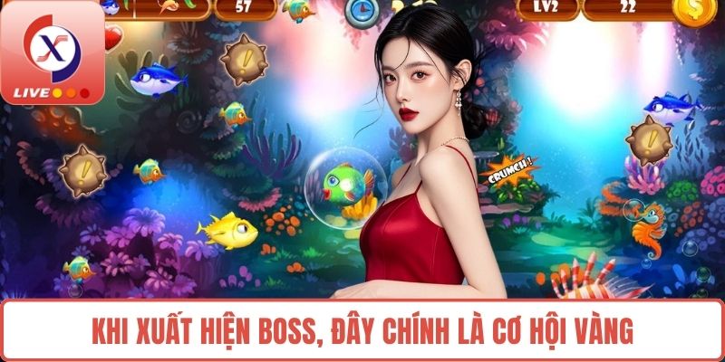 Khi xuất hiện boss, đây chính là cơ hội vàng