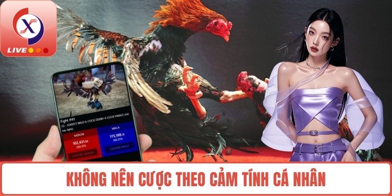Không nên cược theo cảm tính cá nhân