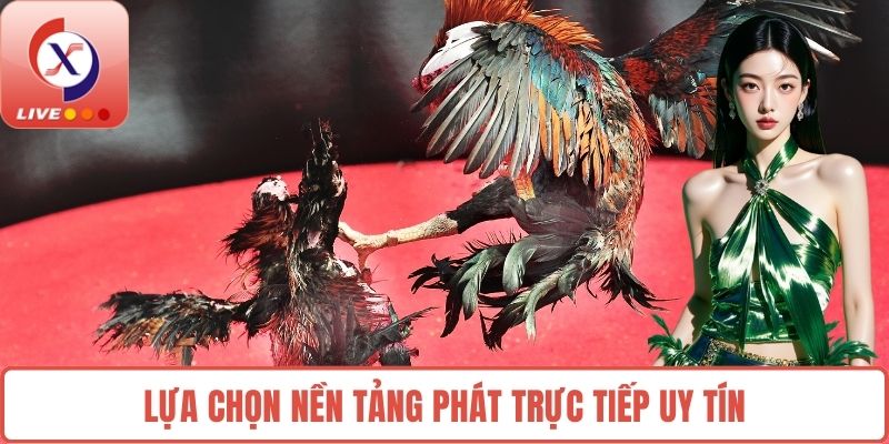 Lựa chọn nền tảng phát trực tiếp uy tín