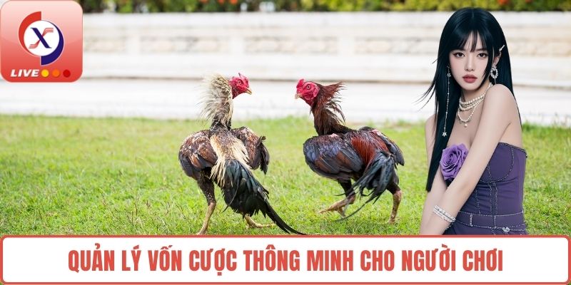 Quản lý vốn cược thông minh cho người chơi