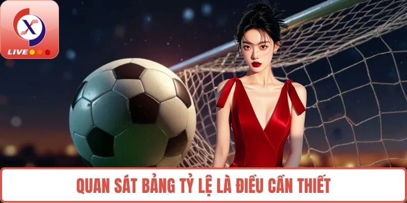 Quan sát bảng tỷ lệ là điều cần thiết