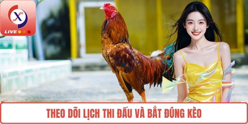 Theo dõi lịch thi đấu và bắt đúng kèo